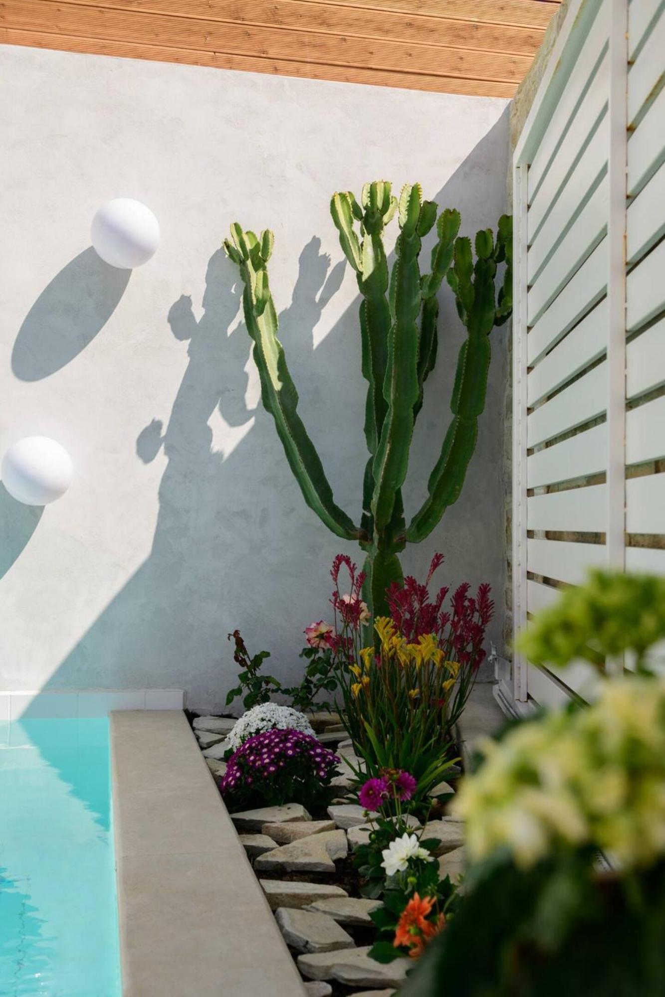 Chrisanthi Elegant Villa Pitsidia Exterior photo